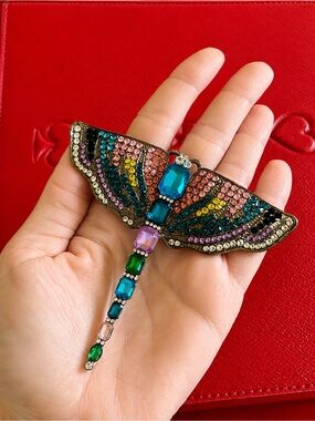 Huge dragonfly brooch  multicolored